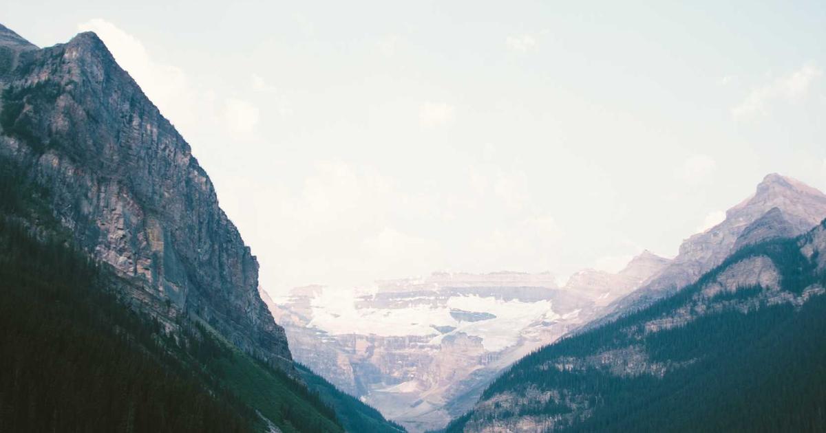 Small business accounting dashboard showing automated reports