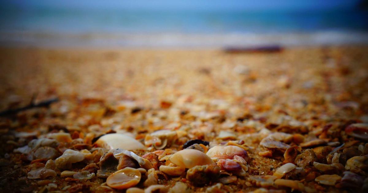 Digital approval workflow on screen