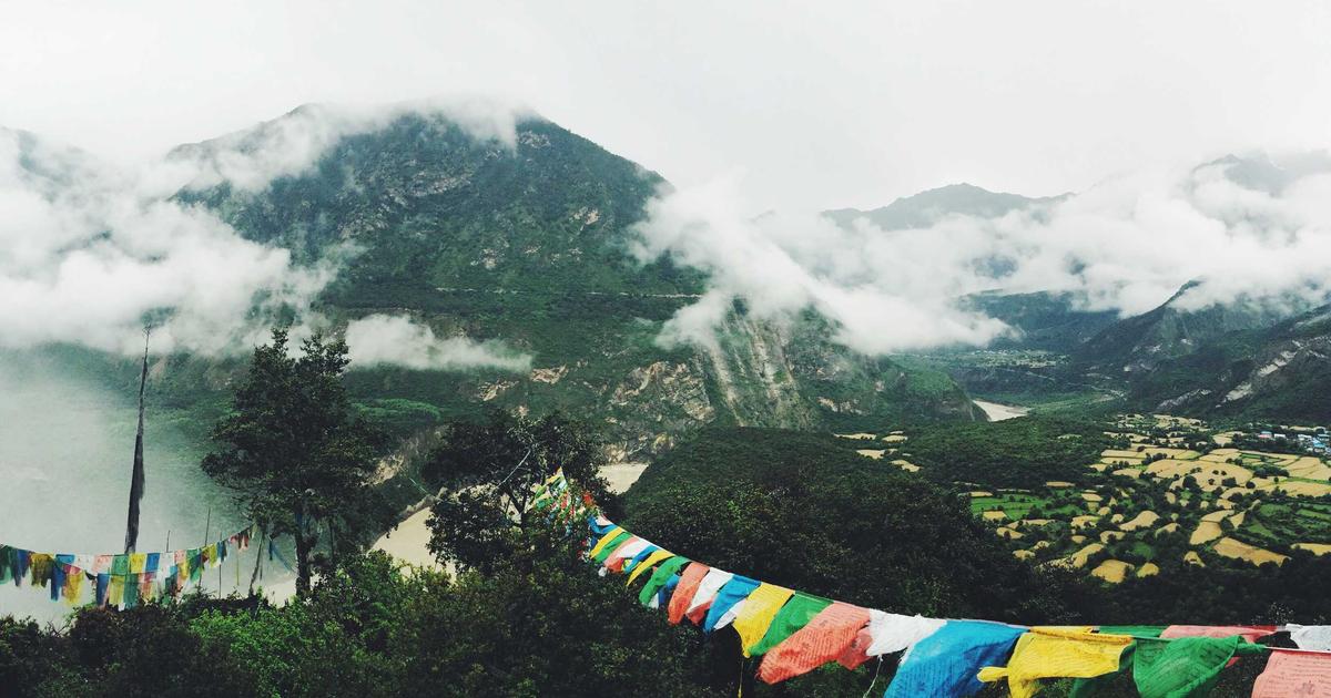 Team celebrating automation implementation success with metrics displayed