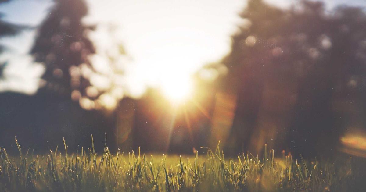 Customer health score dashboard showing risk indicators