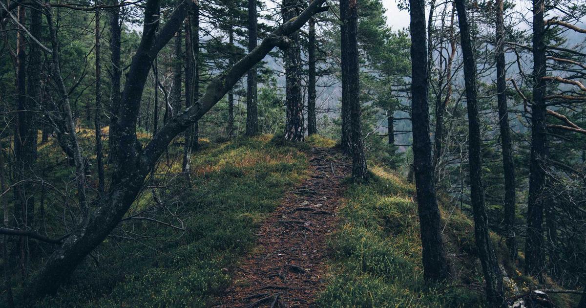 Dashboard with automated data refresh indicators