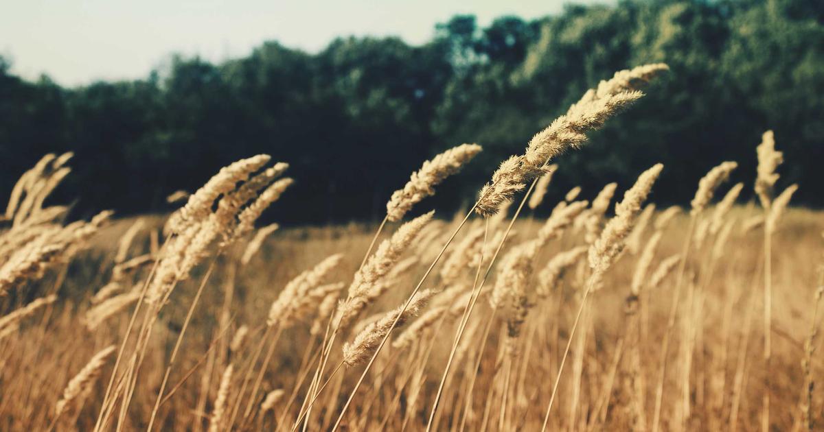 Organized HR document filing system