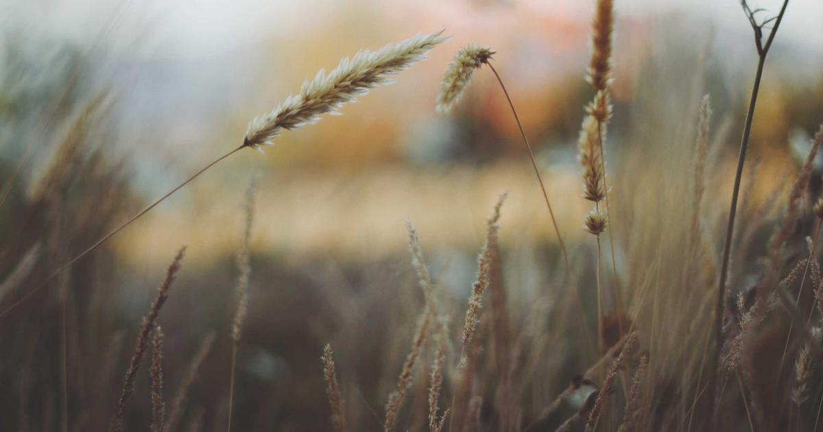 Intelligent document processing pipeline architecture