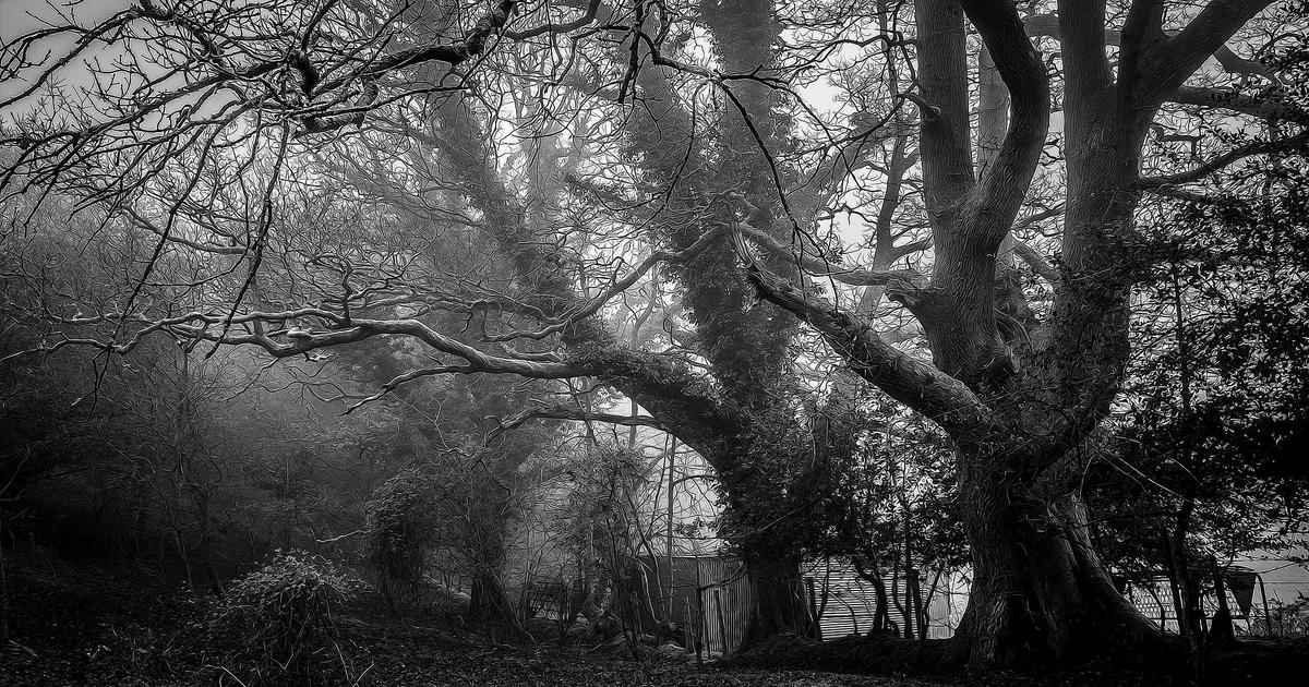 Large organization flowchart showing automation scaling across departments