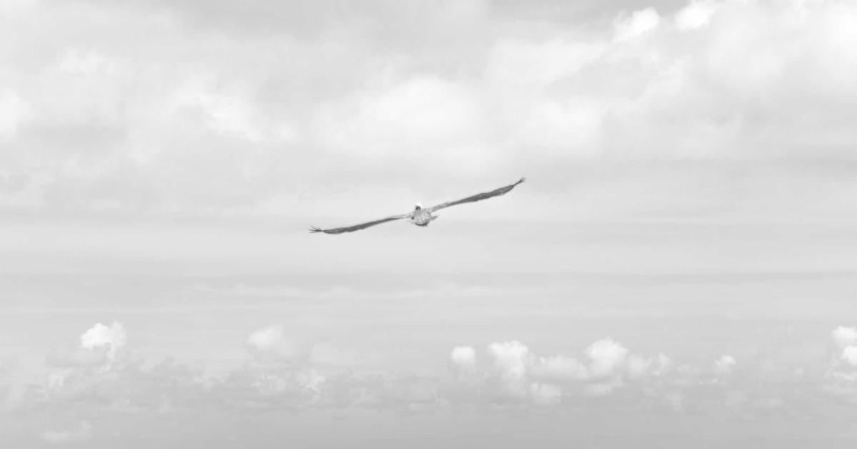 IT ticket management system