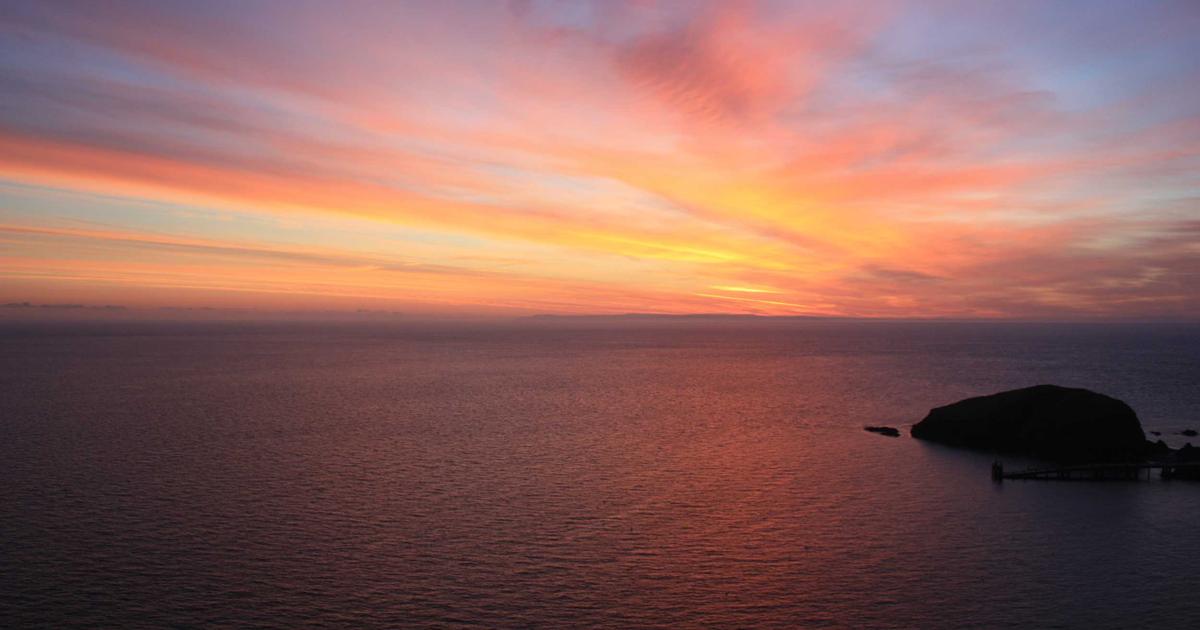 Logistics automation