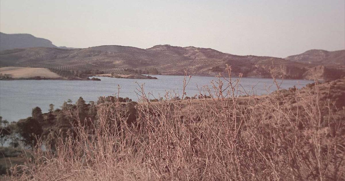 Nonprofit automation