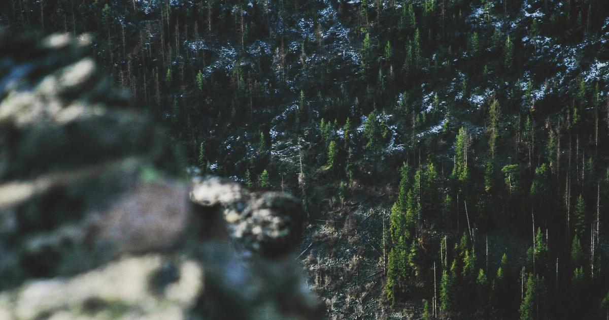 Finance professional reviewing automated bank reconciliation dashboard