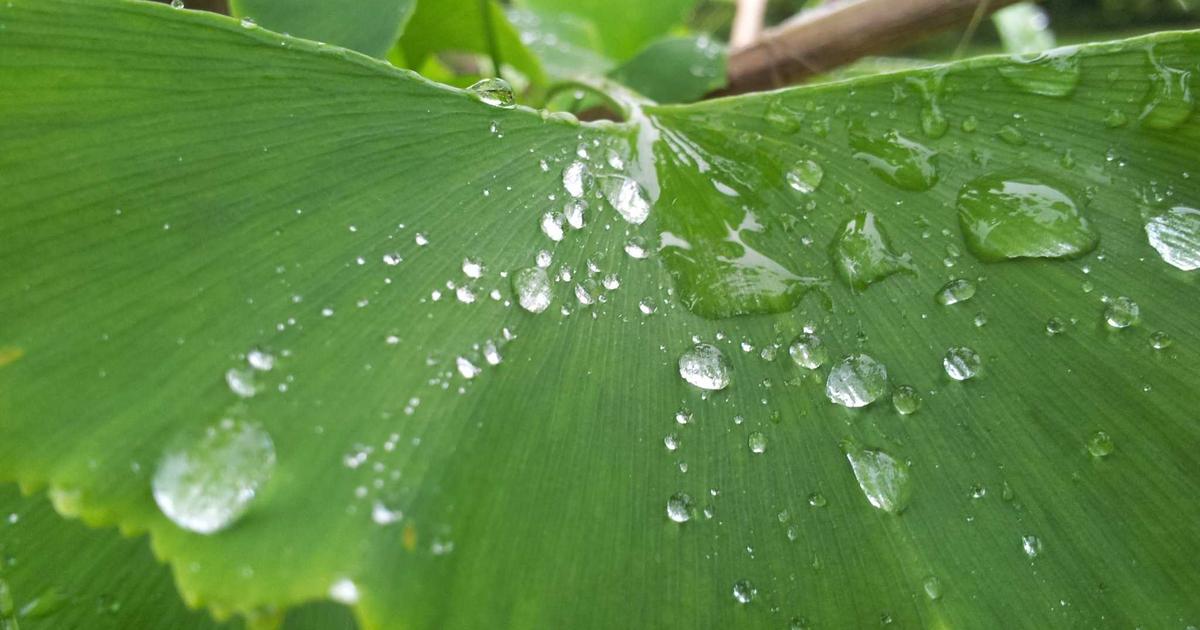 Sales handoff workflow showing lead qualification and routing