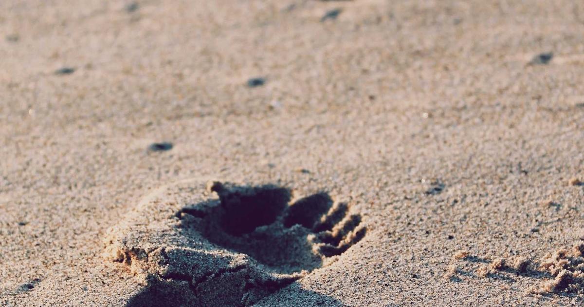 Social media scheduling dashboard showing content calendar