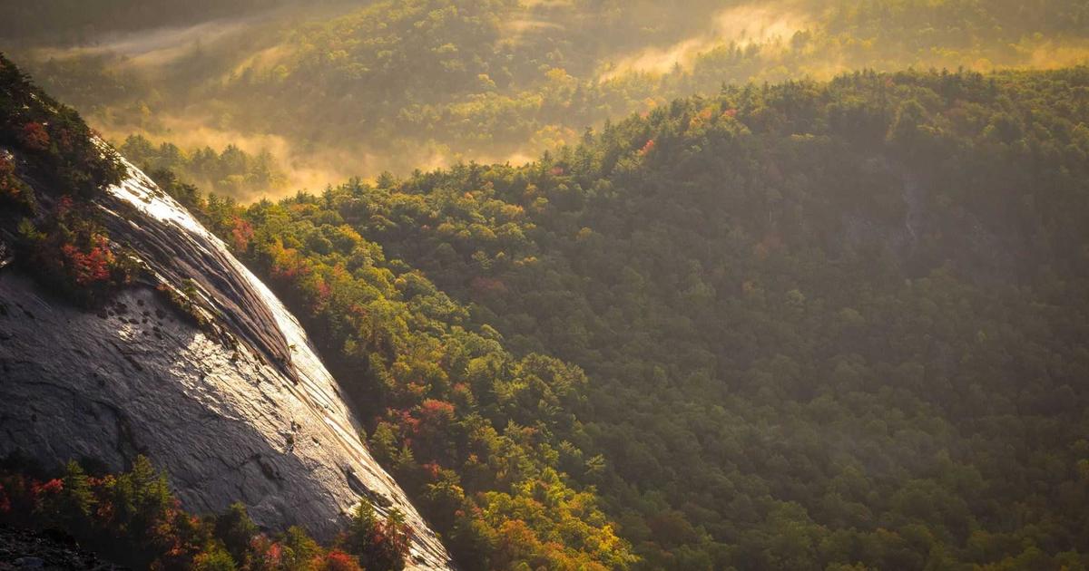 Automated validation checking data quality